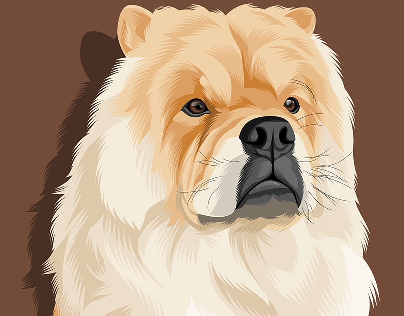 Vector-Sketch-of-Molly