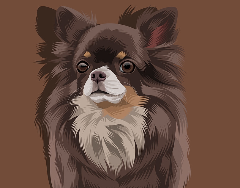 Vector-Sketch-of-Monti