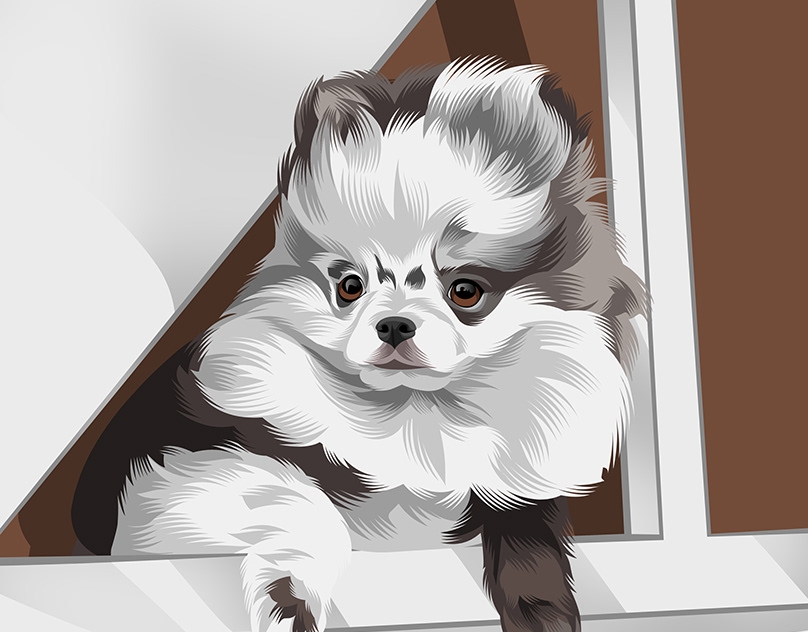 Vector-Sketch-of-Monty