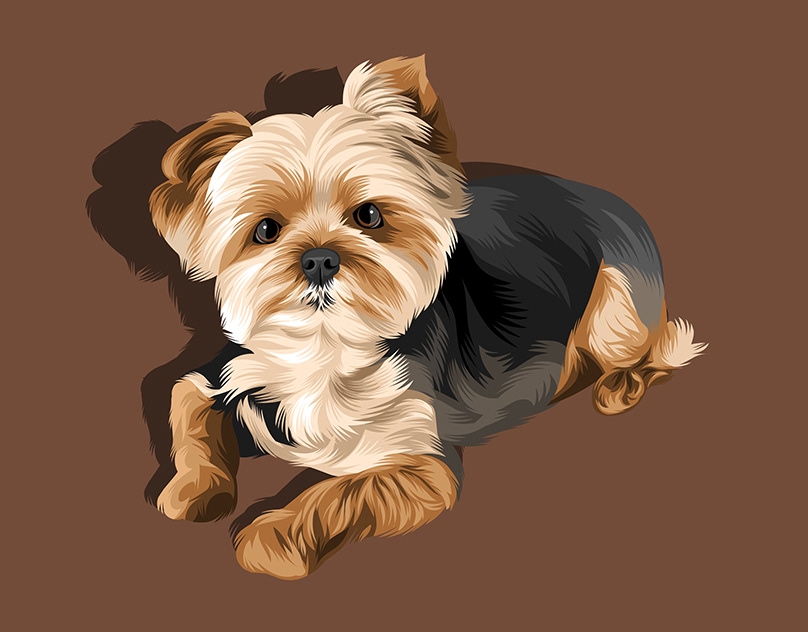 Vector-Sketch-of-Mumford