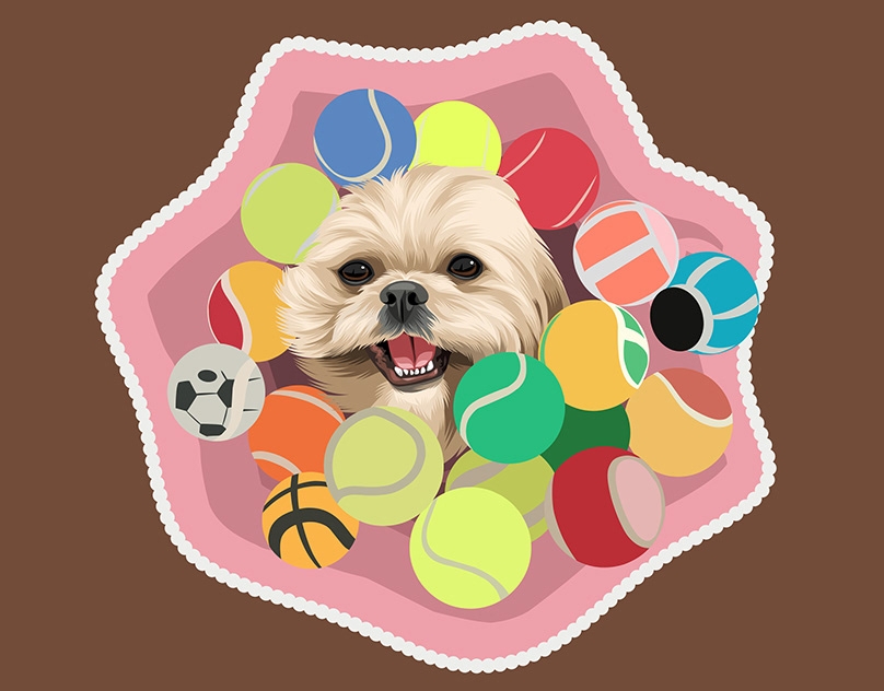 Vector-Sketch-of-Munchkin