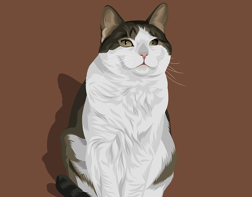 Vector-Sketch-of-Murphy