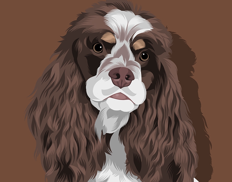 Vector-Sketch-of-Murray