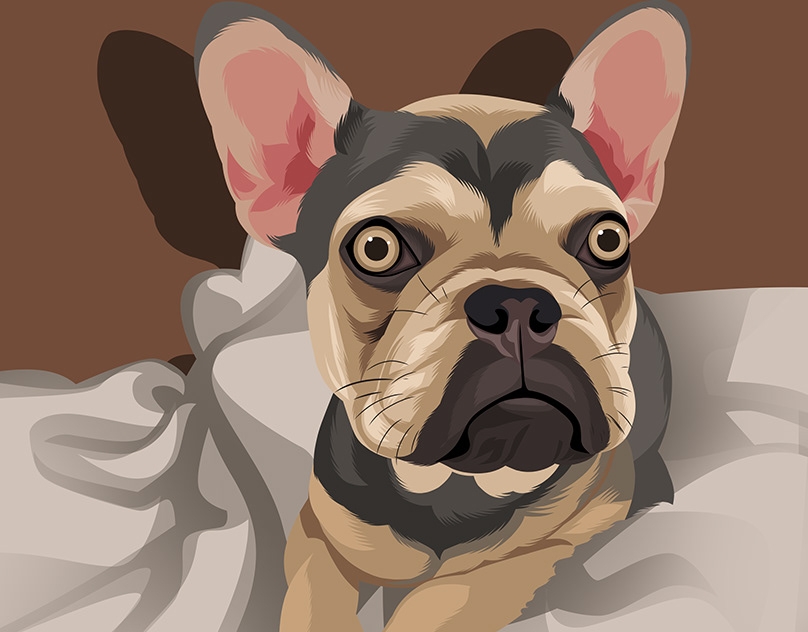 Vector-Sketch-of-Muskoka