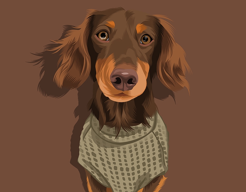 Vector-Sketch-of-Nash