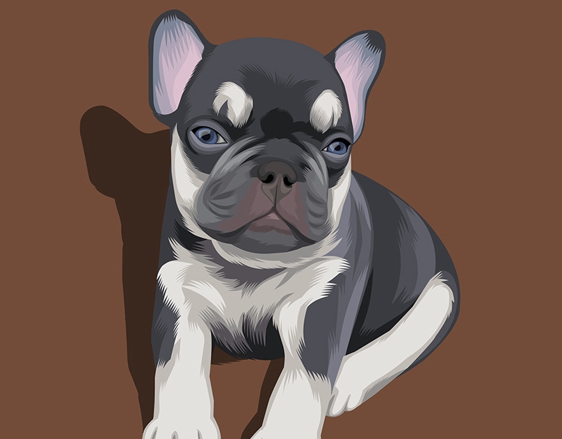 Vector-Sketch-of-Nee