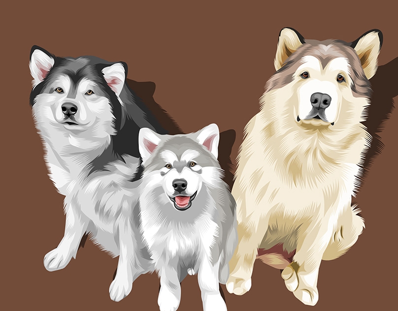 Vector-Sketch-of-Niko-Teddy-and-Phil