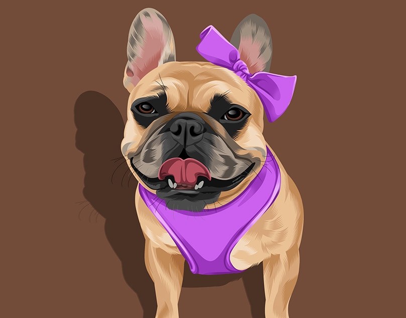 Vector-Sketch-of-Noah