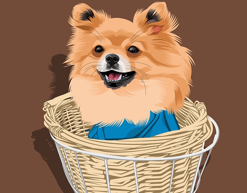 Vector-Sketch-of-Nookie