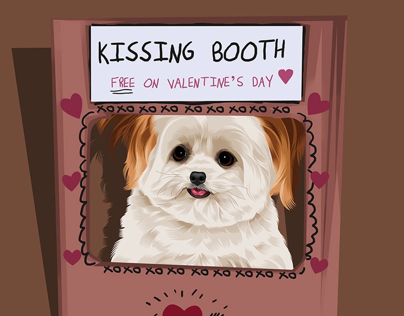 Vector-Sketch-of-Norbert