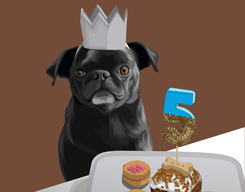 Vector-Sketch-of-Nori