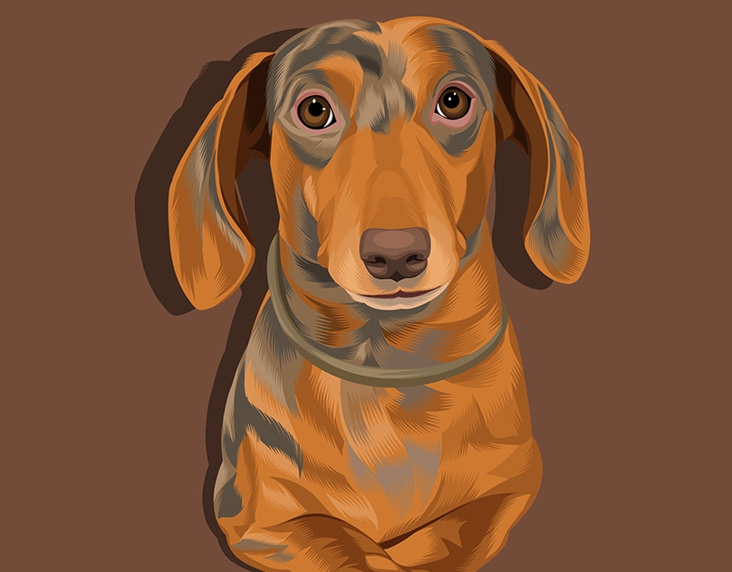 Vector-Sketch-of-Norman