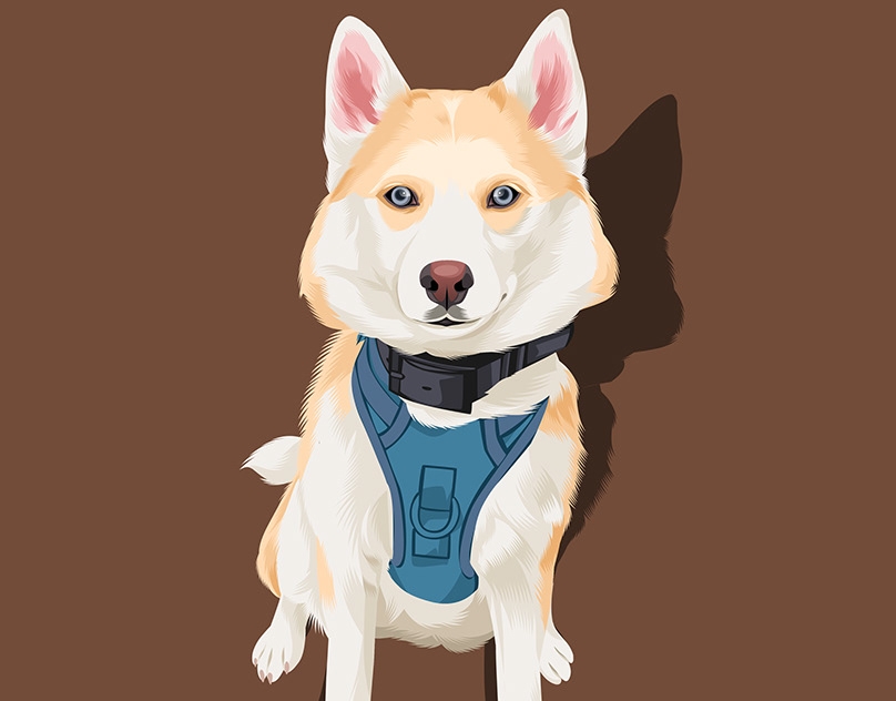 Vector-Sketch-of-Ocean