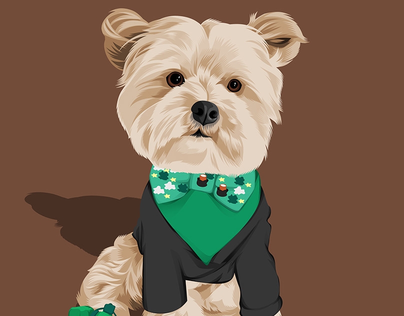 Vector-Sketch-of-Olive