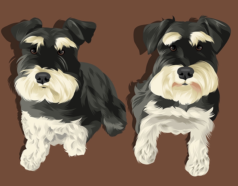 Vector-Sketch-of-Oliver-and-Kiwi