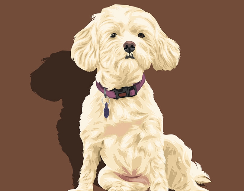 Vector-Sketch-of-Orly