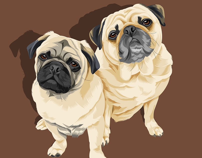 Vector-Sketch-of-Oscar-and-Milo