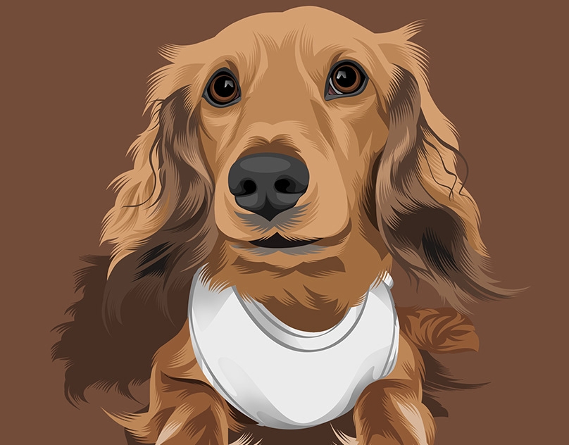 Vector-Sketch-of-Otis