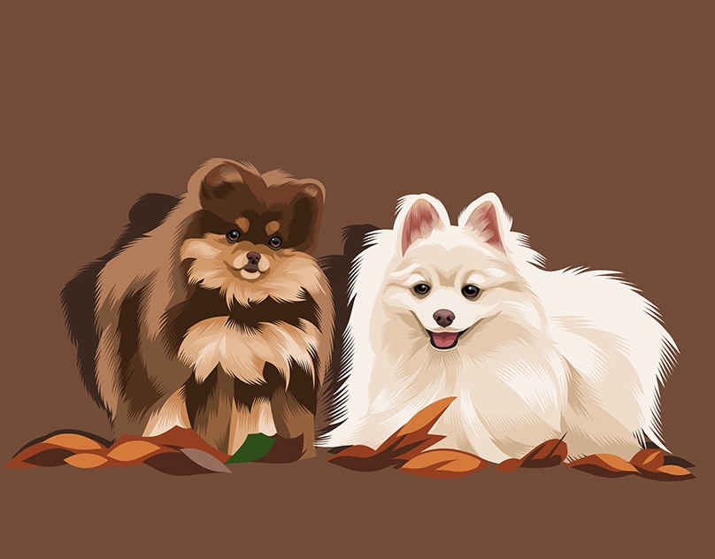 Vector-Sketch-of-Our-Pom-Girls
