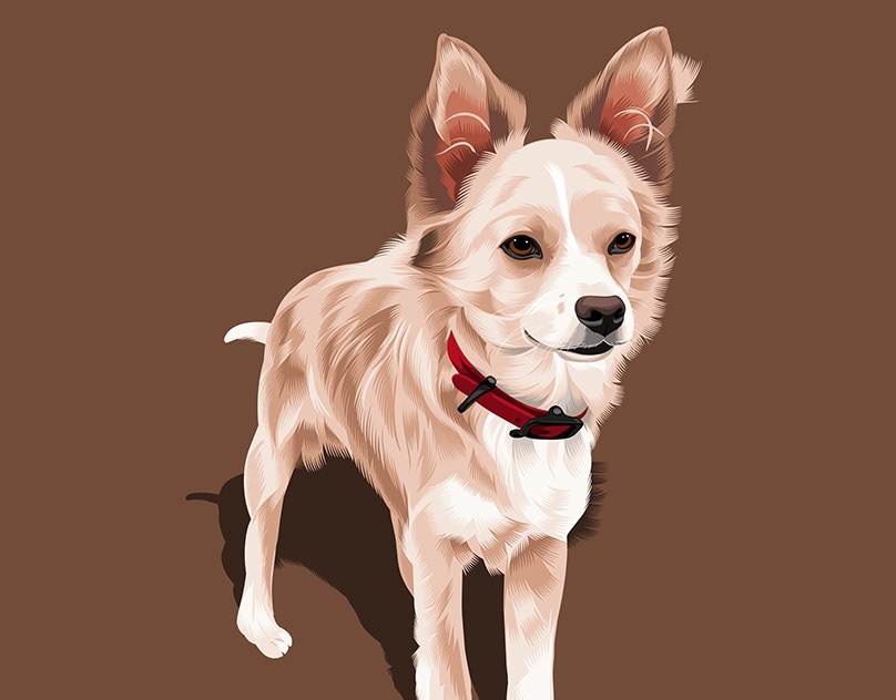 Vector-Sketch-of-Papi