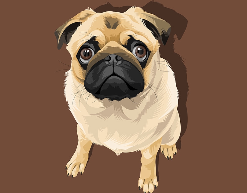 Vector-Sketch-of-Peaches