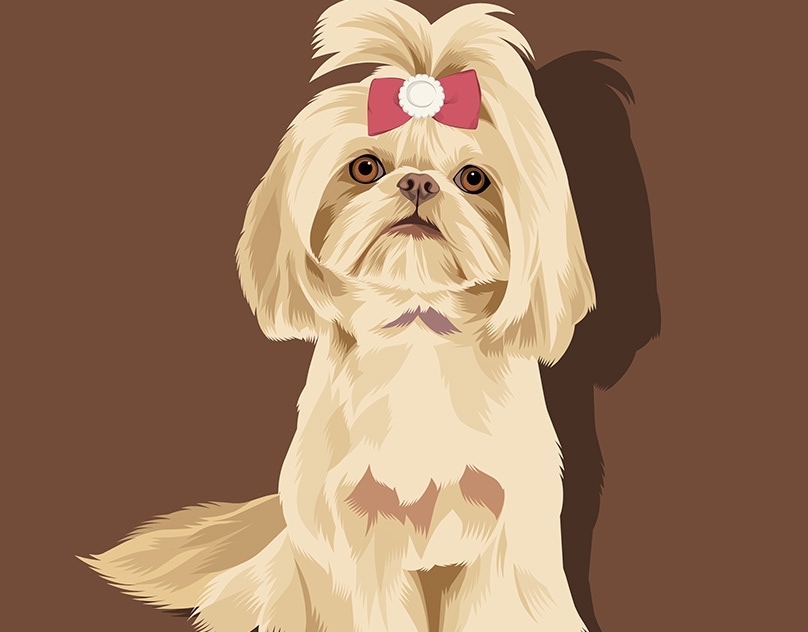 Vector-Sketch-of-Pearl