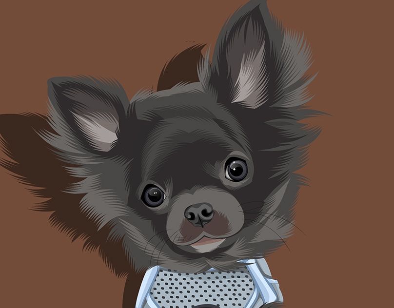Vector-Sketch-of-Pepper