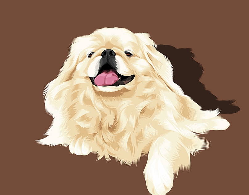 Vector-Sketch-of-Peter