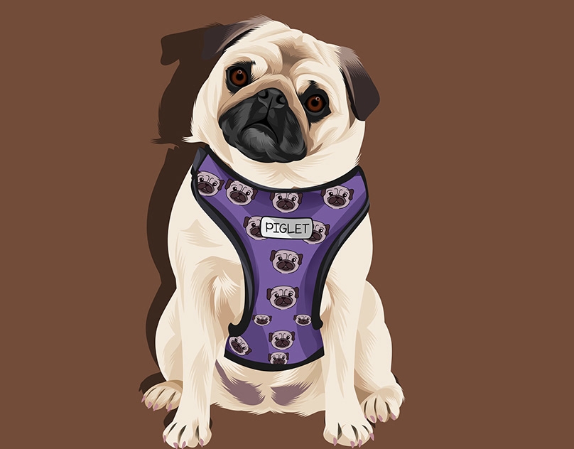 Vector-Sketch-of-Piglet