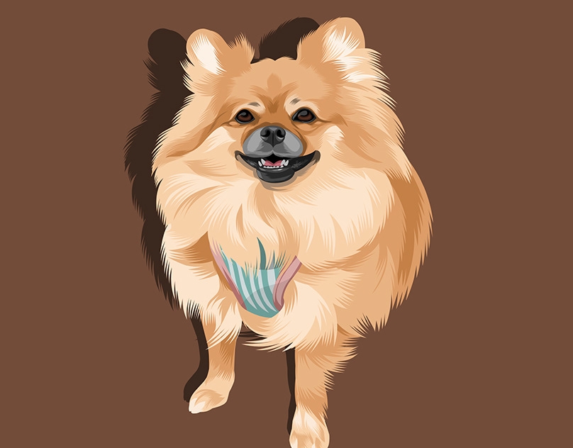 Vector-Sketch-of-Pixie