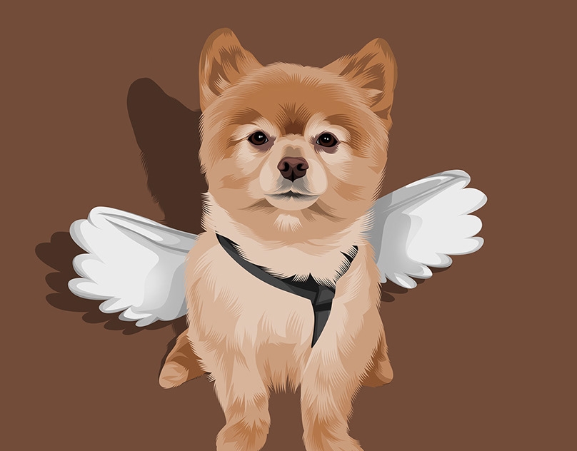 Vector-Sketch-of-Pumpkin