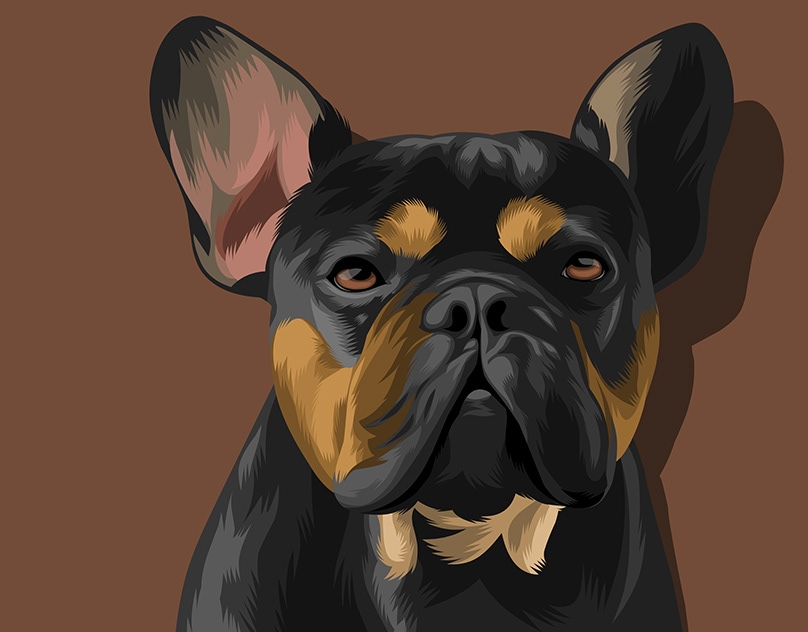 Vector-Sketch-of-Quincy