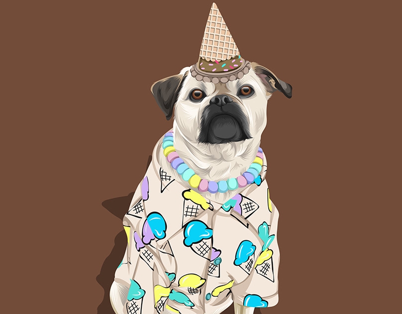 Vector-Sketch-of-Reggie