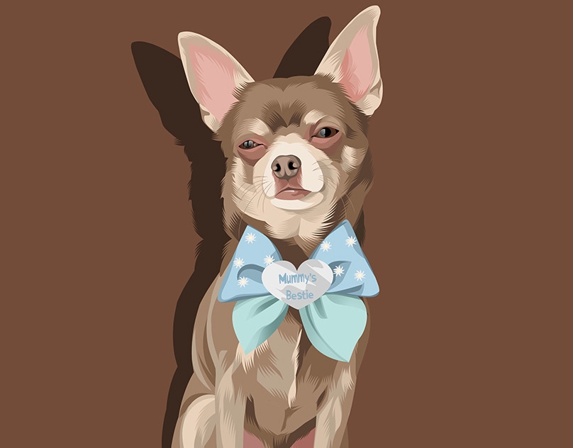 Vector-Sketch-of-Rico