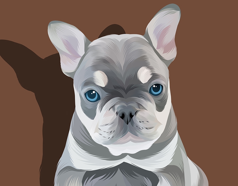 Vector-Sketch-of-Rocco
