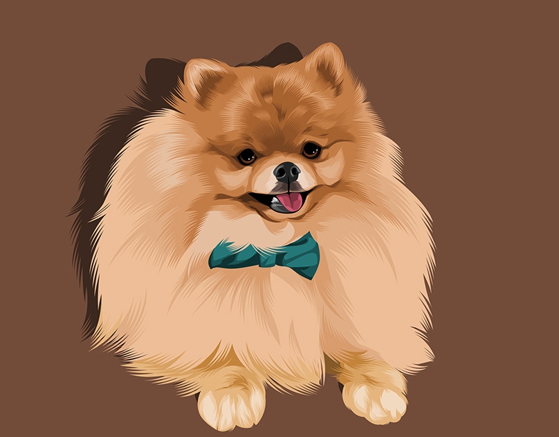 Vector-Sketch-of-Romeo