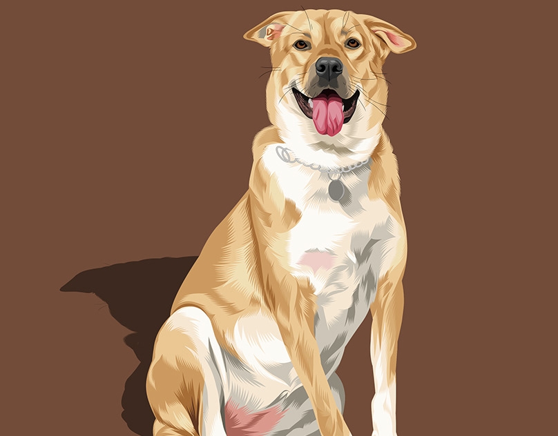 Vector-Sketch-of-Sandy