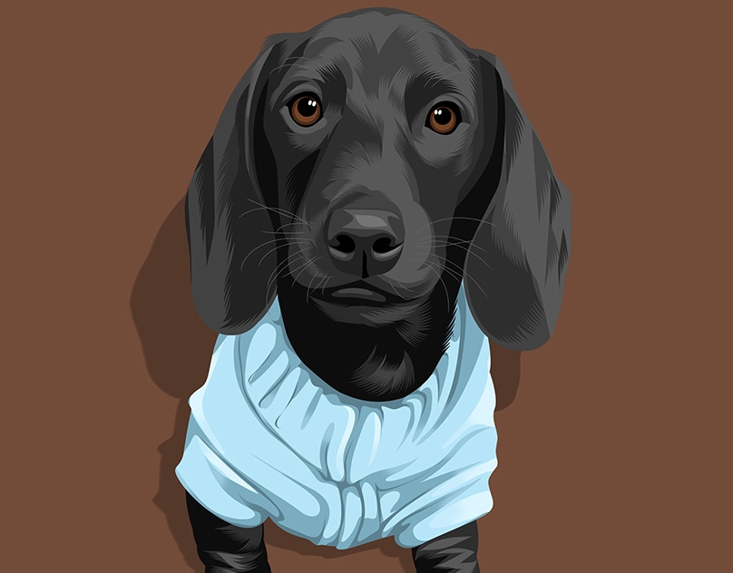 Vector-Sketch-of-Shadow