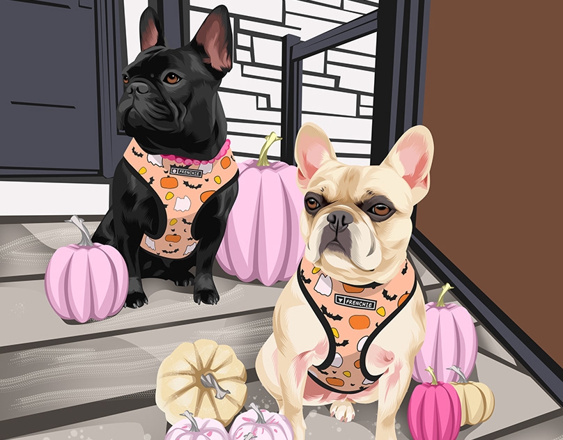 Vector-Sketch-of-Shelby-and-Mini