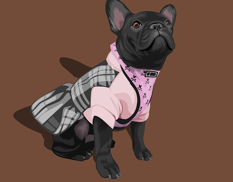 Vector-Sketch-of-Shelby