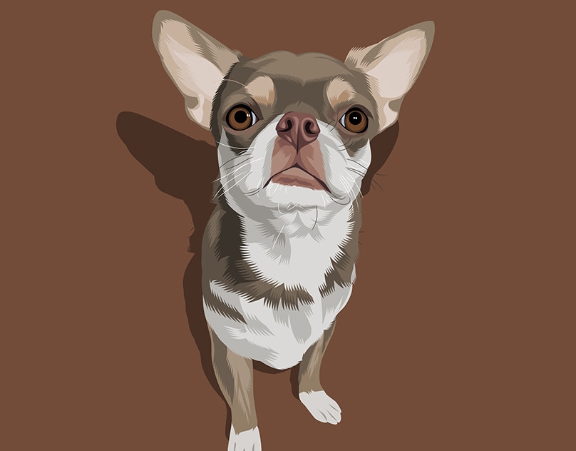 Vector-Sketch-of-Spencer