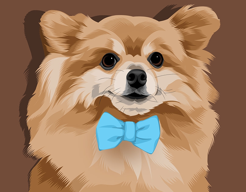 Vector-Sketch-of-Stanley