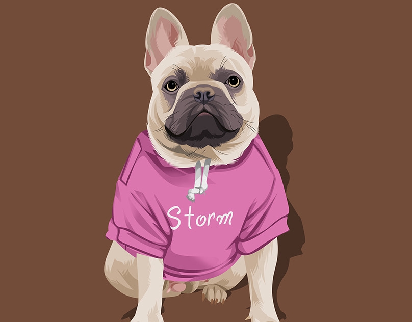 Vector-Sketch-of-Storm