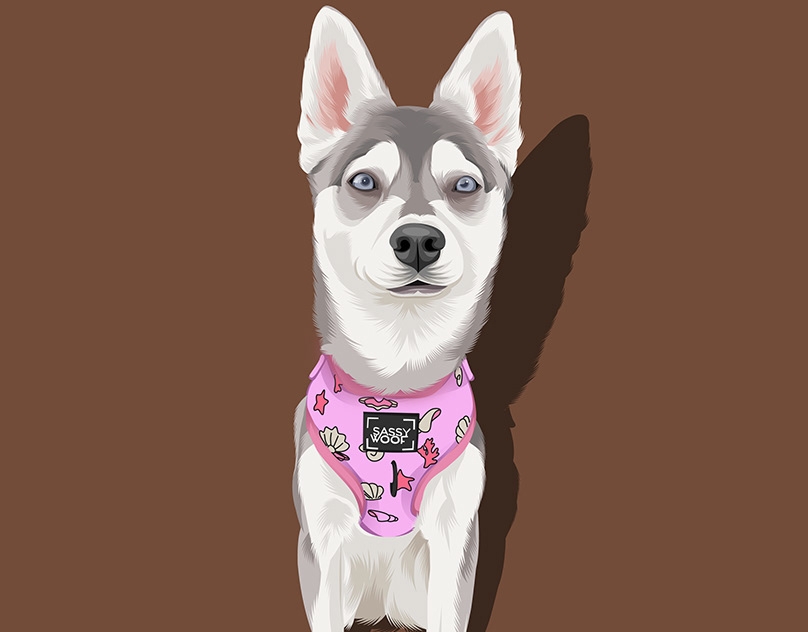 Vector-Sketch-of-Stormy