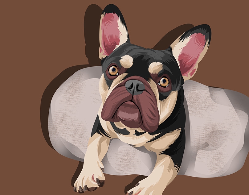 Vector-Sketch-of-Sunny