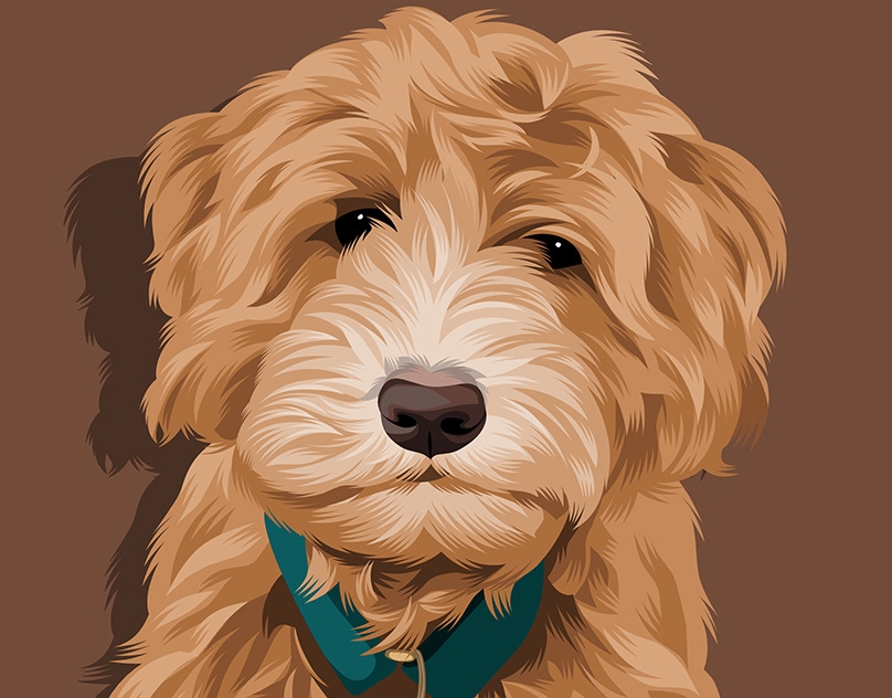 Vector-Sketch-of-Teddy