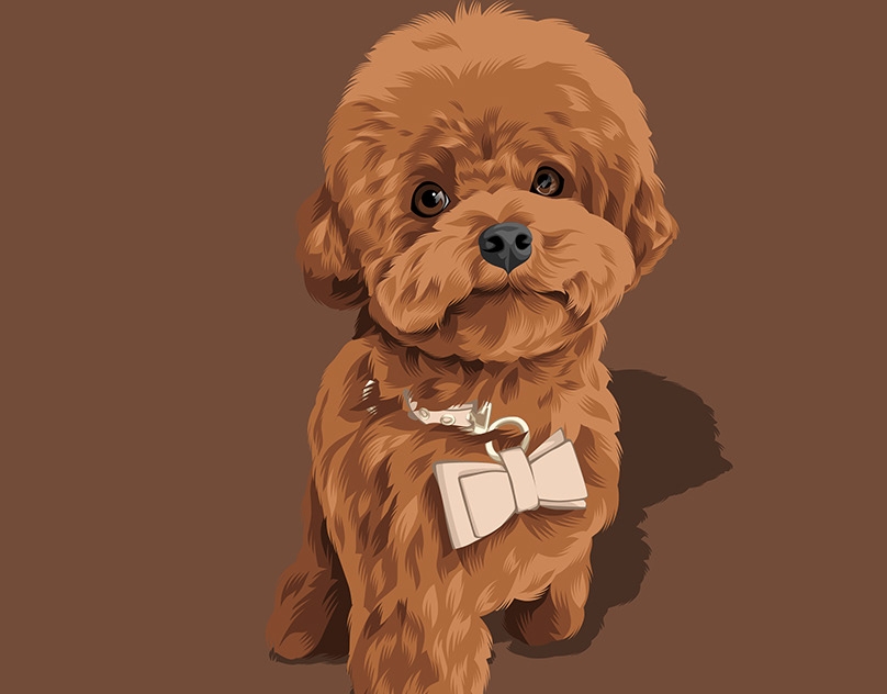 Vector-Sketch-of-Tirol