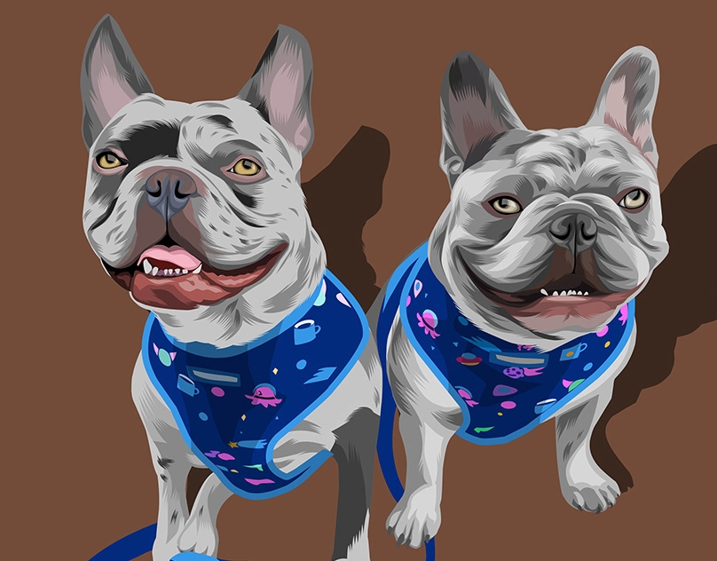 Vector-Sketch-of-Toronto-Frenchies