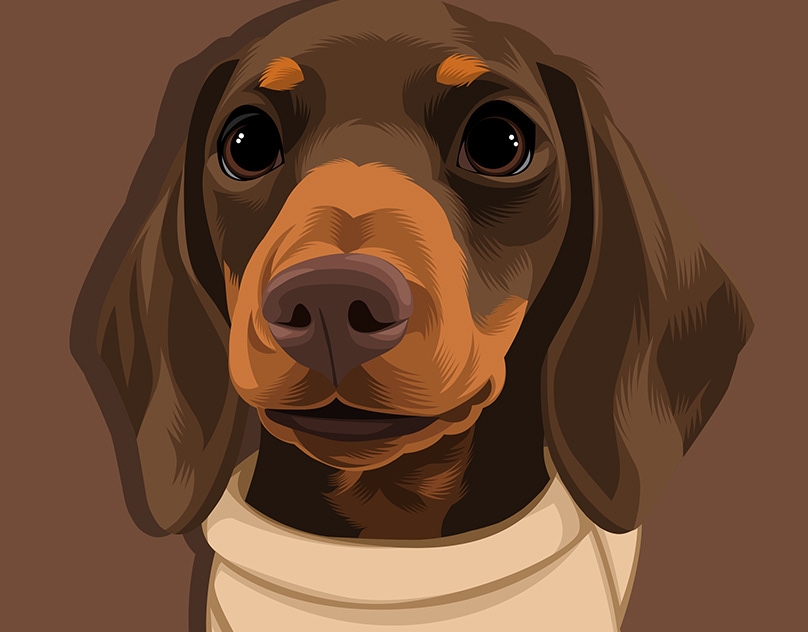 Vector-Sketch-of-Truffles