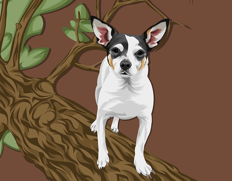 Vector-Sketch-of-Tucker